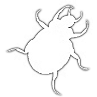 Erradicadores de Escarabajos