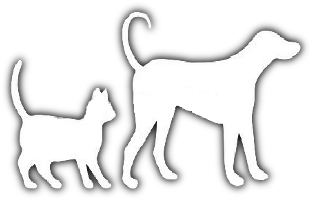 Perros y Gatos